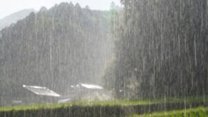 晴れた日に突然降る雨：「狐の嫁入り」